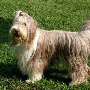 Meet your Posher, Audrey